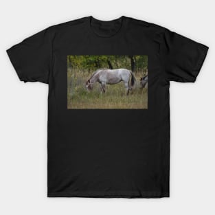 Wild Horse T-Shirt